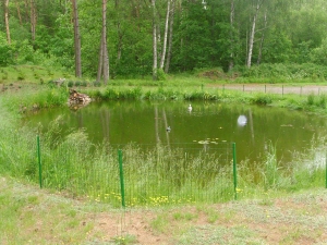 Poilsiaviete Nemunas